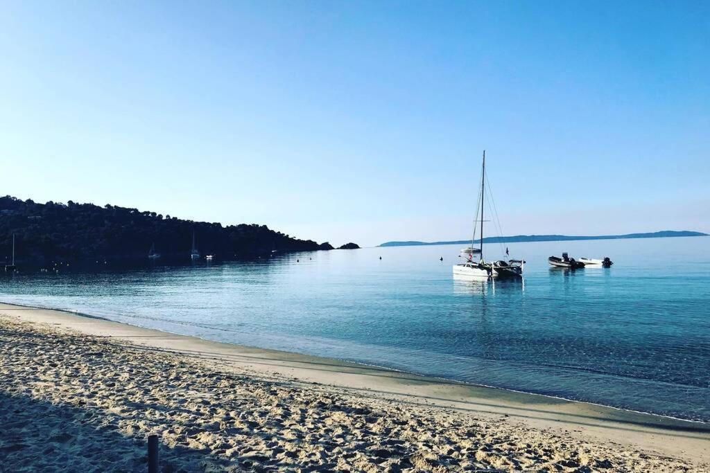 Magnifique A 50m De La De Cavaliere - Tamarindo Apartment *